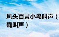 凤头百灵小鸟叫声（10月08日凤头百灵的正确叫声）