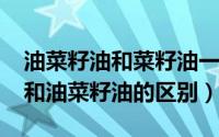 油菜籽油和菜籽油一样吗（11月18日菜籽油和油菜籽油的区别）