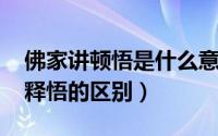 佛家讲顿悟是什么意思（11月18日顿悟说和释悟的区别）