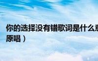 你的选择没有错歌词是什么意思（10月08日你的选择没有错原唱）