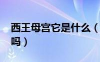 西王母宫它是什么（10月08日西王母宫真有吗）