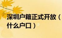 深圳户籍正式开放（10月08日深圳本地人是什么户口）