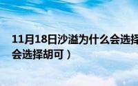 11月18日沙溢为什么会选择胡可呢（11月18日沙溢为什么会选择胡可）