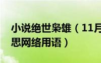 小说绝世枭雄（11月18日绝世枭雄是什么意思网络用语）