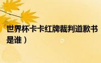 世界杯卡卡红牌裁判道歉书（11月18日红牌罚下卡卡的裁判是谁）