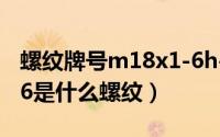 螺纹牌号m18x1-6h-s的含义（11月18日zm6是什么螺纹）