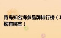青岛知名海参品牌排行榜（11月18日青岛比较有名的海参品牌有哪些）
