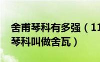 舍甫琴科有多强（11月19日为什么要把舍甫琴科叫做舍瓦）