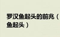 罗汉鱼起头的前兆（11月19日如何看出罗汉鱼起头）