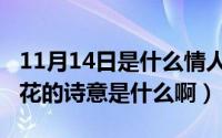 11月14日是什么情人节（11月19日大林寺桃花的诗意是什么啊）