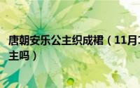 唐朝安乐公主织成裙（11月19日唐朝第一美人美女是安乐公主吗）
