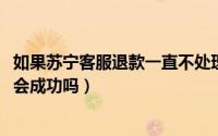 如果苏宁客服退款一直不处理（11月19日苏宁客服介入退款会成功吗）