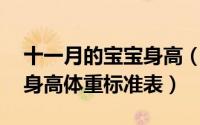 十一月的宝宝身高（11月19日0－12月宝宝身高体重标准表）