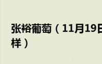 张裕葡萄（11月19日张裕葡小葡日常喝怎么样）