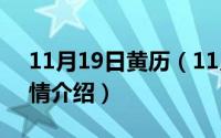 11月19日黄历（11月19日分界线第21集剧情介绍）