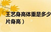 王艺身高体重是多少（10月08日演员王艺照片身高）