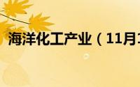海洋化工产业（11月19日海洋化工是什么）