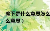 麾下是什么意思怎么读（11月20日麾下是什么意思）