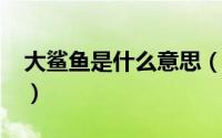 大鲨鱼是什么意思（11月20日什么是大鲨鱼）