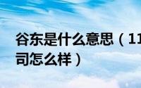 谷东是什么意思（11月20日谷东科技有限公司怎么样）