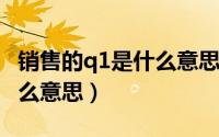 销售的q1是什么意思（11月20日销售qa是什么意思）