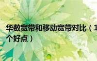华数宽带和移动宽带对比（10月08日华数宽带和移动宽带哪个好点）