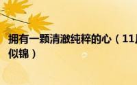 拥有一颗清澈纯粹的心（11月20日到底是繁华似锦还是繁花似锦）