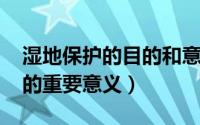 湿地保护的目的和意义（11月20日湿地保护的重要意义）