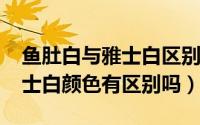 鱼肚白与雅士白区别（11月20日鱼肚白和雅士白颜色有区别吗）