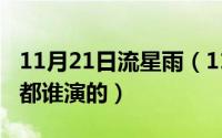 11月21日流星雨（11月20日陪你去看流星雨都谁演的）