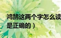 鸿鹄这两个字怎么读（11月20日鸿鹄怎么念是正确的）