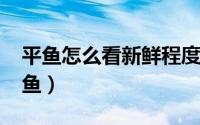 平鱼怎么看新鲜程度（11月20日如何鉴别平鱼）