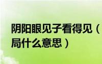 阴阳眼见子看得见（11月20日阴阳眼见子结局什么意思）