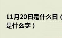11月20曰是什么曰（11月20日niang的汉字是什么字）