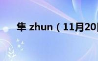 隼 zhun（11月20日隼和小隼的区别）