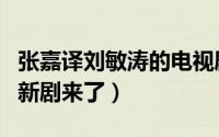 张嘉译刘敏涛的电视剧大全（张嘉译山海情后新剧来了）