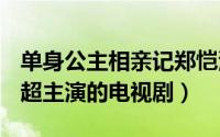 单身公主相亲记郑恺演员 2010年郑恺和郭品超主演的电视剧）