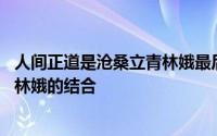 人间正道是沧桑立青林娥最后结局 人间正道是沧桑杨立青与林娥的结合