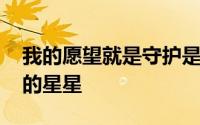 我的愿望就是守护是哪首歌的歌词 握在手里的星星