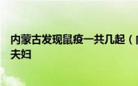 内蒙古发现鼠疫一共几起（内蒙鼠疫源自一对生吃土拨鼠俄夫妇