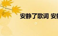 安静了歌词 安静了完整版歌词