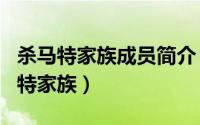 杀马特家族成员简介 2006年11岁少年创杀马特家族）