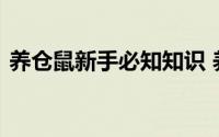 养仓鼠新手必知知识 养仓鼠必须了解的知识