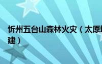 忻州五台山森林火灾（太原增援五台山山火扑救队伍平安归建）