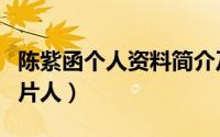 陈紫函个人资料简介及老公（从千年女二到制片人）