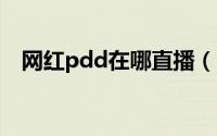 网红pdd在哪直播（PDD要去虎牙直播了
