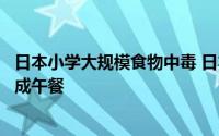 日本小学大规模食物中毒 日本一幼儿园误把毒水仙当韭菜制成午餐