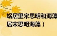 蜗居里宋思明和海藻最后怎样了 深度剖析蜗居宋思明海藻）