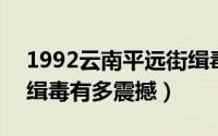 1992云南平远街缉毒枪战纪实 1992年平远缉毒有多震撼）