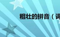 粗壮的拼音（词语粗壮怎么读）